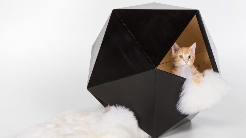 Architects for Animals