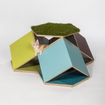 Architects for Animals