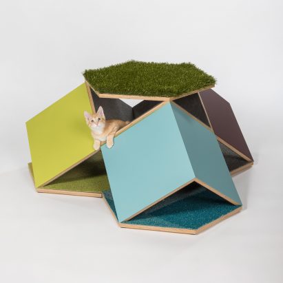 Architects for Animals
