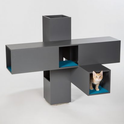 Architects for Animals