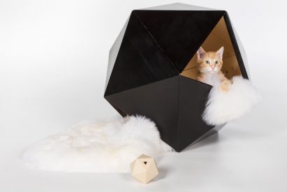Architects for Animals