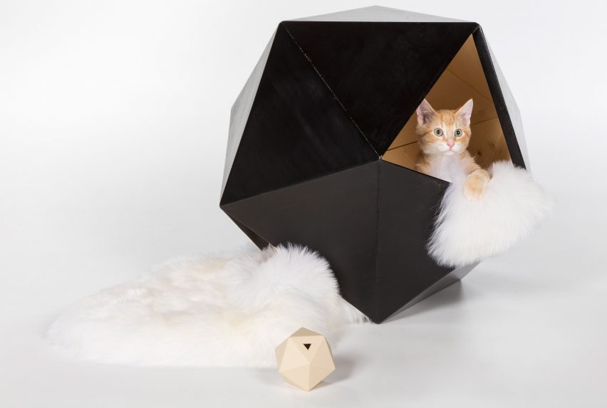 Architects for Animals