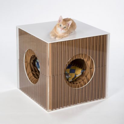Architects for Animals