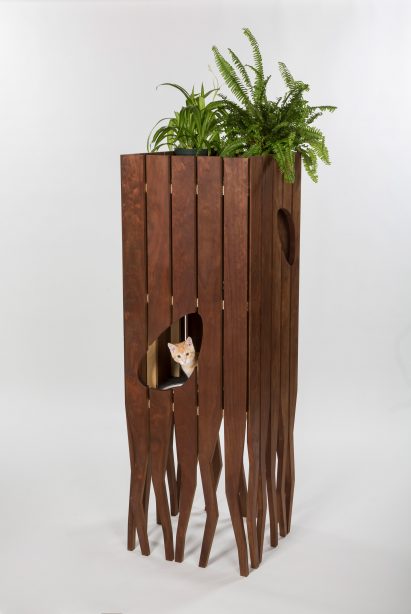 Architects for Animals