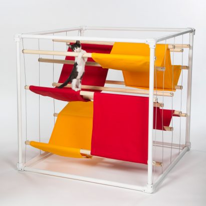 Architects for Animals