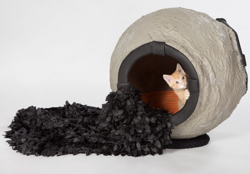 Architects for Animals