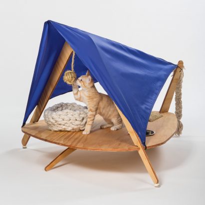 Architects for Animals