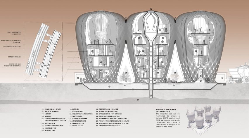 Seed of Life bamboo colony on Mars by Warith Zaki and Amir Amzar