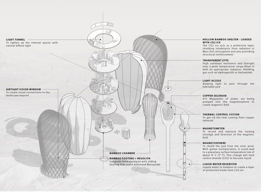 Seed of Life bamboo colony on Mars by Warith Zaki and Amir Amzar