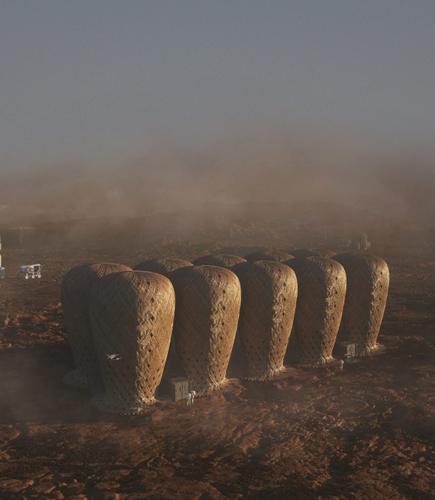 Seed of Life bamboo colony on Mars by Warith Zaki and Amir Amzar