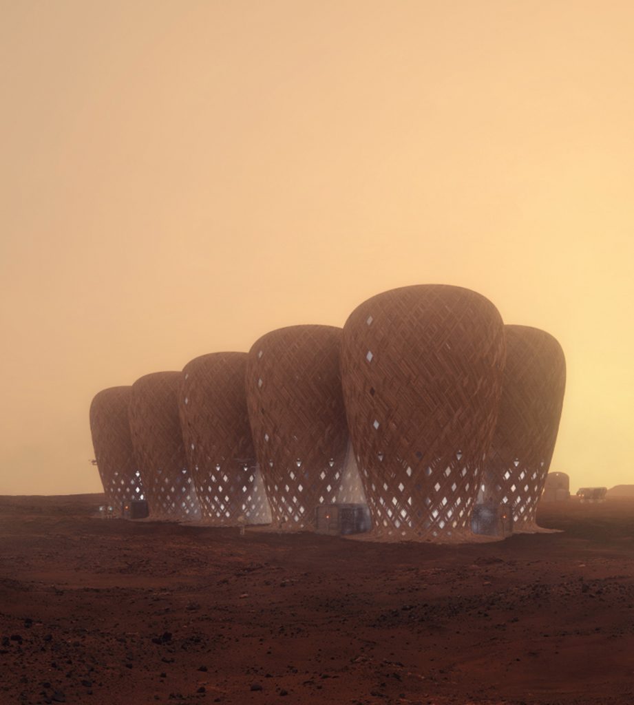 Seed of Life bamboo colony on Mars by Warith Zaki and Amir Amzar