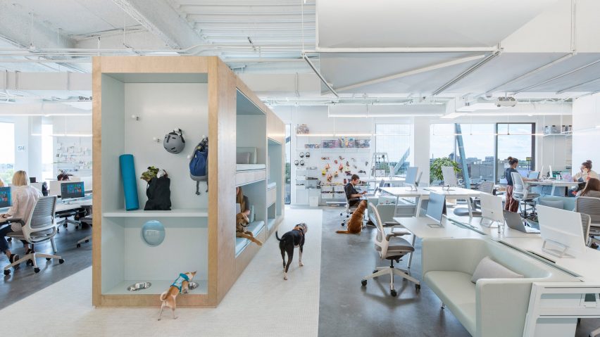 BARKBOX Office by NBBJ
