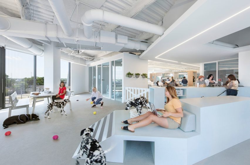 BARKBOX Office by NBBJ
