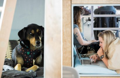 BARKBOX Office by NBBJ