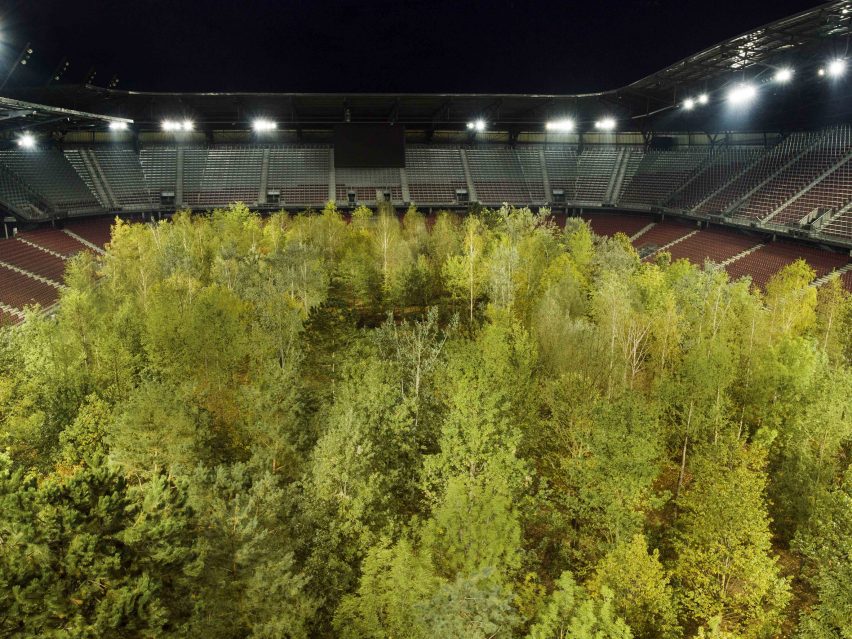 For Forest by Klaus Littmann
