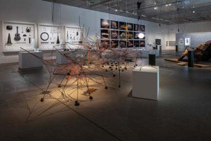 Insects: Models for Design at 21 21 Design Sight