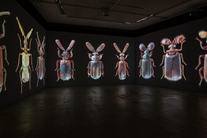 Insects: Models for Design at 21 21 Design Sight