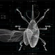 Insects: Models for Design at 21 21 Design Sight