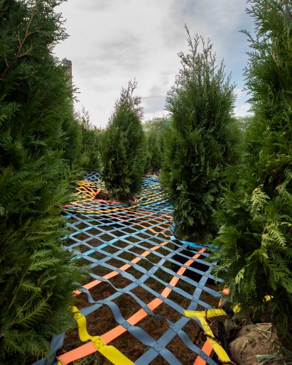 Into the Hedge by SO-IL