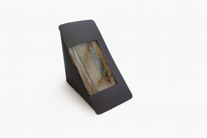 Lucy Hughes' fish scale bioplastic wins UK James Dyson Award for student design