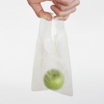 Lucy Hughes' fish scale bioplastic wins UK James Dyson Award for student design