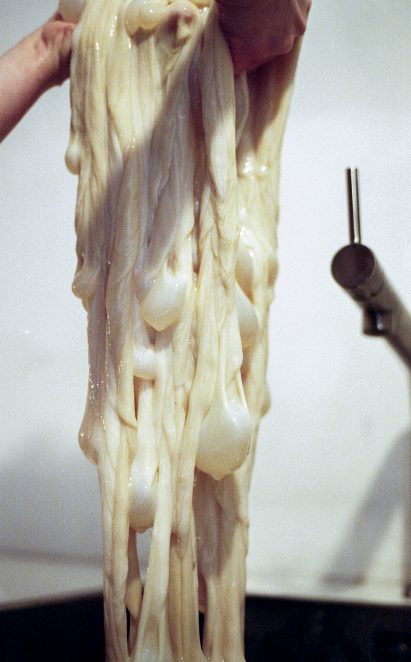 Kathrine Barbro Bendixen uses cow intestines for lighting