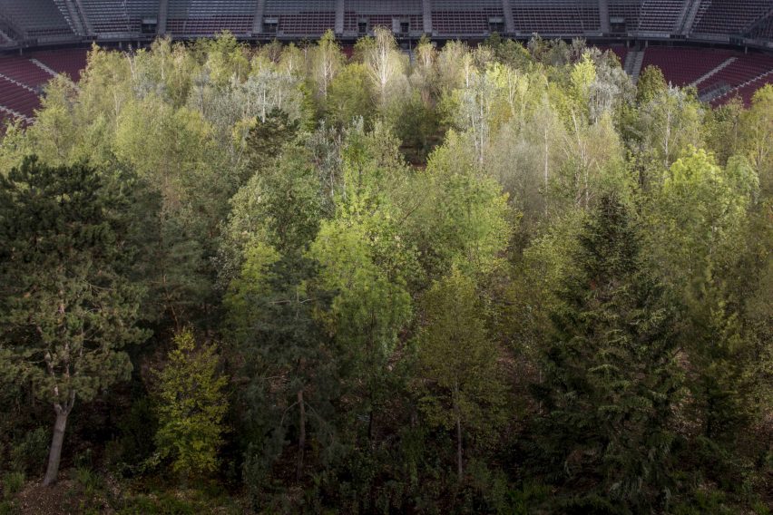 For Forest by Klaus Littmann