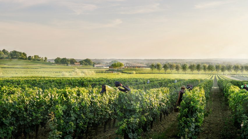 Le Dôme winery designed by Foster + Partners for Saint-Émilion, France