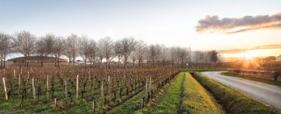 Le Dôme winery designed by Foster + Partners for Saint-Émilion, France