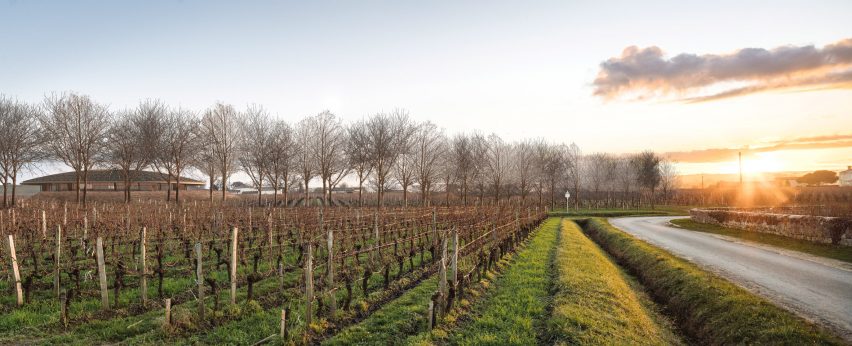 Le Dôme winery designed by Foster + Partners for Saint-Émilion, France