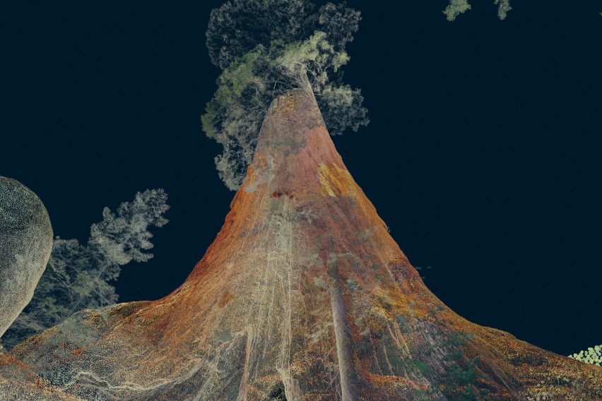 Odunpazari Modern Museum's inaugural exhibitions are Treehugger and In The Eyes of the Animal by Marshmallow Laser Feast