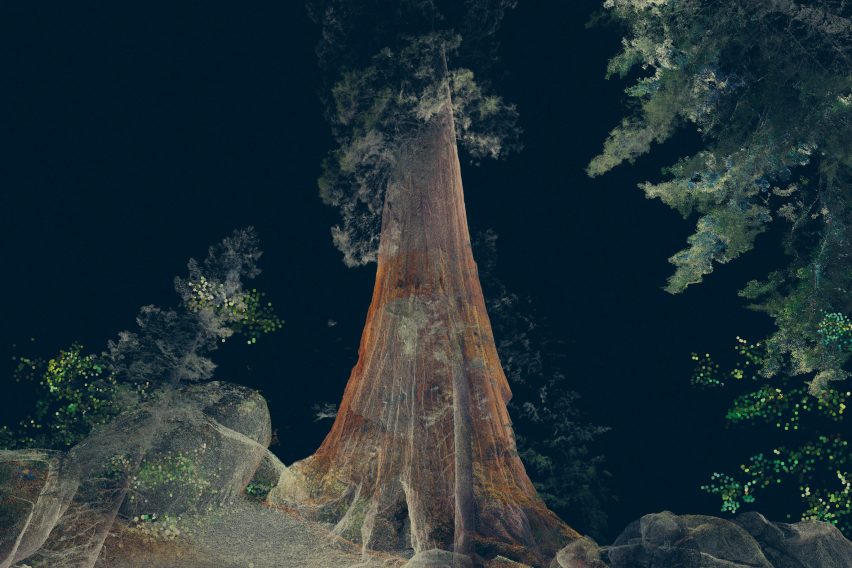 Odunpazari Modern Museum's inaugural exhibitions are Treehugger and In The Eyes of the Animal by Marshmallow Laser Feast