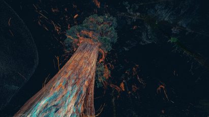 Odunpazari Modern Museum's inaugural exhibitions are Treehugger and In The Eyes of the Animal by Marshmallow Laser Feast