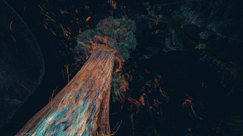 Odunpazari Modern Museum's inaugural exhibitions are Treehugger and In The Eyes of the Animal by Marshmallow Laser Feast