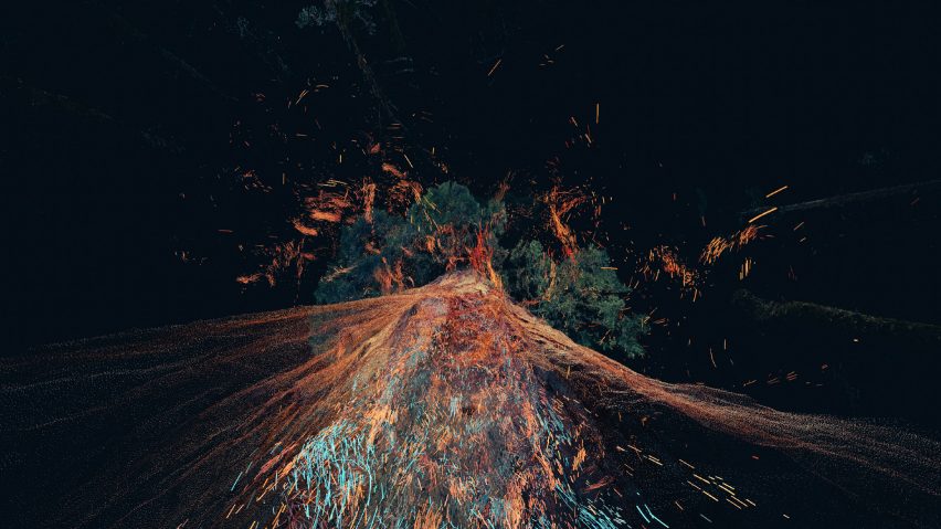 Odunpazari Modern Museum's inaugural exhibitions are Treehugger and In The Eyes of the Animal by Marshmallow Laser Feast