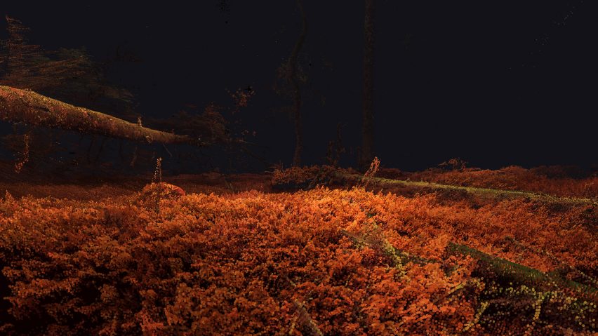 Odunpazari Modern Museum's inaugural exhibitions are Treehugger and In The Eyes of the Animal by Marshmallow Laser Feast