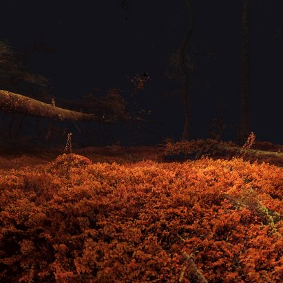 Odunpazari Modern Museum's inaugural exhibitions are Treehugger and In The Eyes of the Animal by Marshmallow Laser Feast