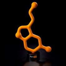 Porn Hub Awards designed by Peter Saville
