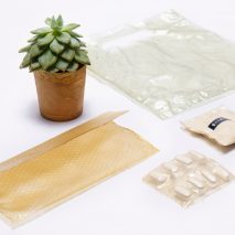 UK government publishes bioplastic paper