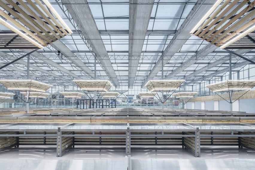 Shengli Market by LUO Studio