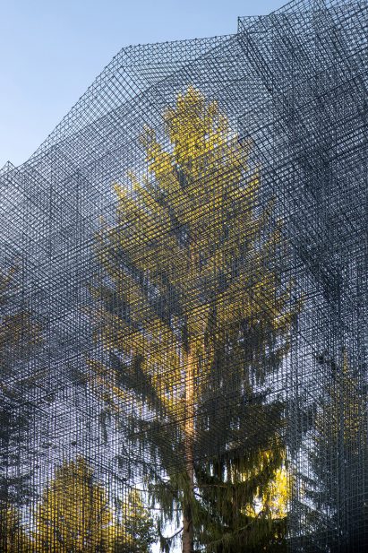 Simbiosi by Edoardo Tresoldi in Arte Sella