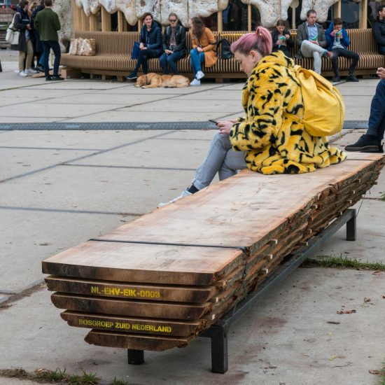 Stormwood benches Atelier NL