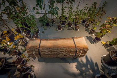 Stormwood benches Atelier NL