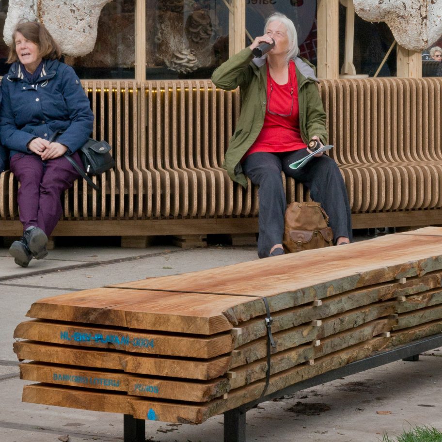 Stormwood benches Atelier NL