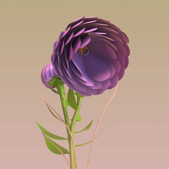 Garden of Galaxy wins Samsung Mobile Design Competition