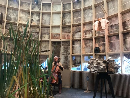 Growing Pavilion Dutch Design Week