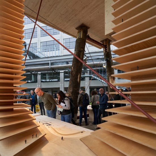 Marco Vermeulen Dutch housing timber