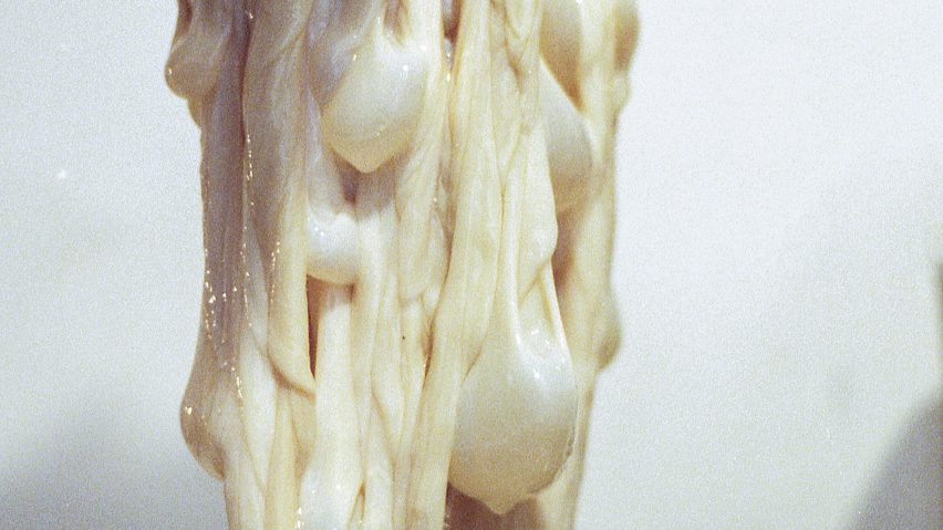 Kathrine Barbro Bendixen turns intestines into lighting, animal parts roundup