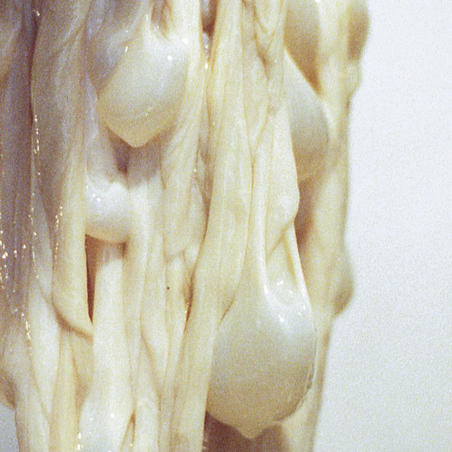 Kathrine Barbro Bendixen turns intestines into lighting, animal parts roundup