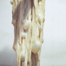 Kathrine Barbro Bendixen turns intestines into lighting, animal parts roundup